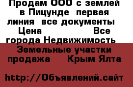 Продам ООО с землей в Пицунде, первая линия, все документы › Цена ­ 9 000 000 - Все города Недвижимость » Земельные участки продажа   . Крым,Ялта